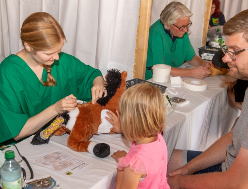 Kinderdag met imkerdag en knuffeldierenkliniek in de dierentuin van Nordhorn